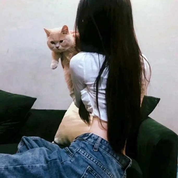 白色菲亚特
